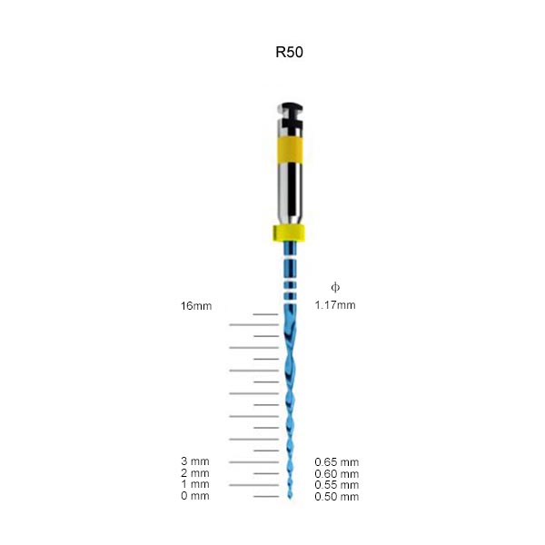 Rotary V-blaue Fliegen
   